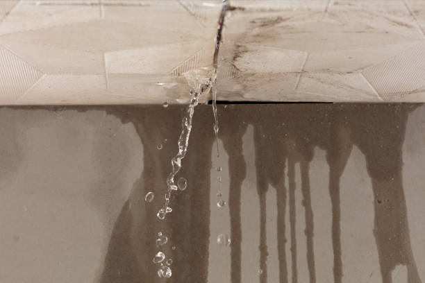 Professional Burst Pipe Cleanup technician working in Atwood, KS